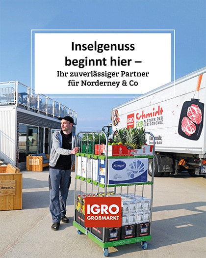 Mitarbeiter mit Rollwagen vor IGRO LKW als Teil unseres zuverlässigen Lieferservice