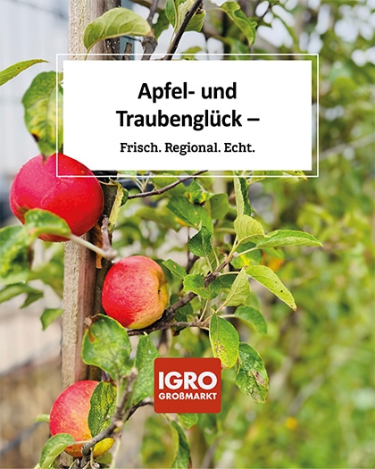 Nahaufnahme von reifen, rot-gelben Äpfeln an einem Baum zur Erntezeit bei igro. Ein weißes Textfeld im Bild zeigt die Aufschrift „Apfel- und Traubenglück – Frisch. Regional. Echt.“. Unten ist das rote Logo von IGRO Großmarkt platziert. Ein Symbol für regionale Frische während der herbstlichen Erntezeit.